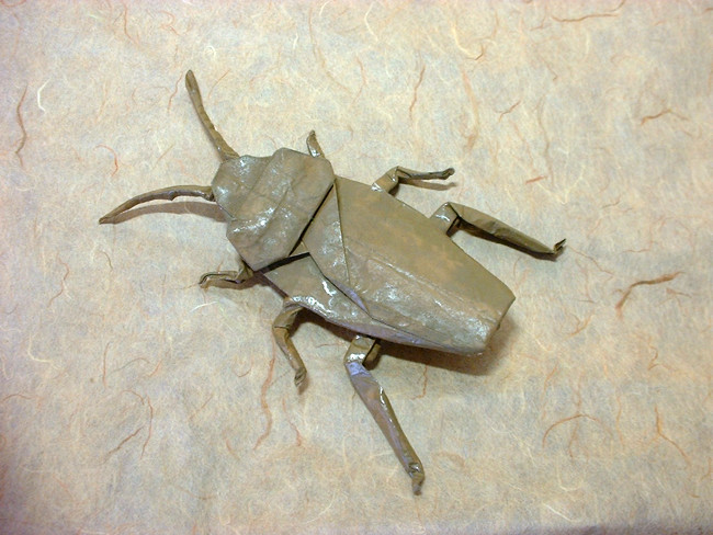 Origami Cockroach by Robert J. Lang folded by Gilad Aharoni
