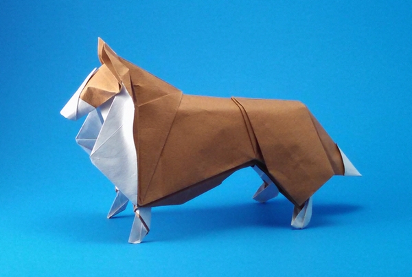 Origami Collie by Nicolas Gajardo Henriquez folded by Gilad Aharoni