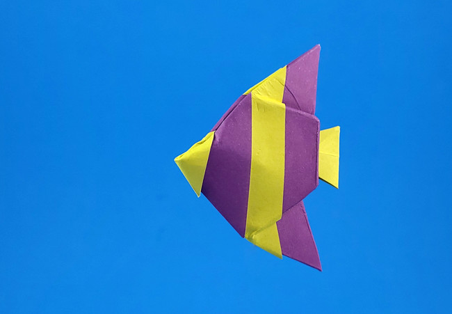 Origami Colorful angelfish by John Montroll folded by Gilad Aharoni