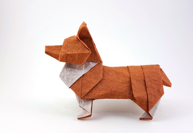 Origami Welsh Corgi by Steven Casey folded by Gilad Aharoni