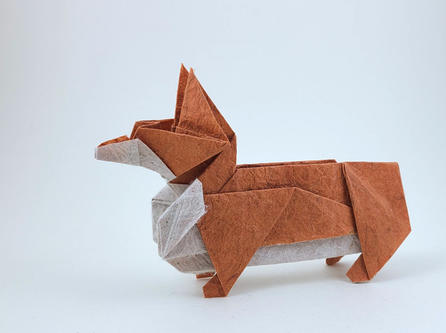 Origami Corgi by Ouchi Koji folded by Gilad Aharoni