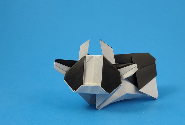 Origami Cow by Takenao Handa folded by Gilad Aharoni