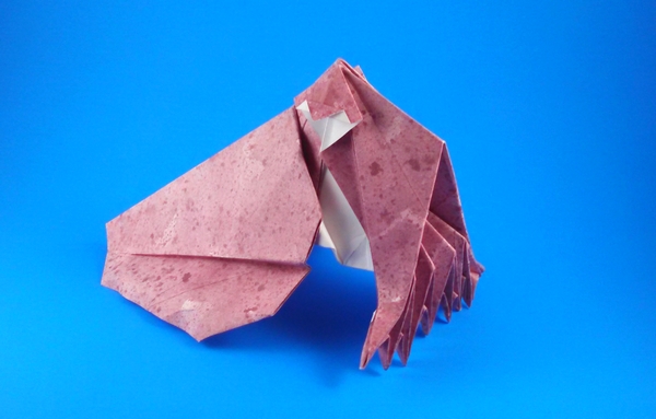 Origami Cuttlefish by John Szinger folded by Gilad Aharoni