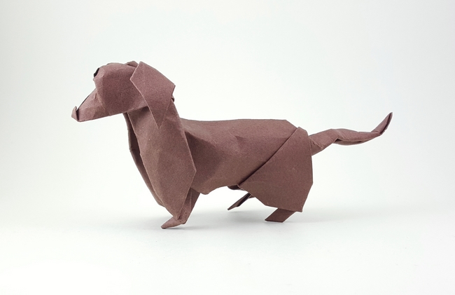 Origami Dachshund by David Brill folded by Gilad Aharoni