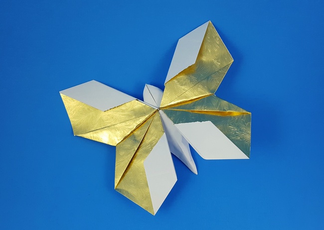 Origami Daisy butterfly by Nick Robinson folded by Gilad Aharoni