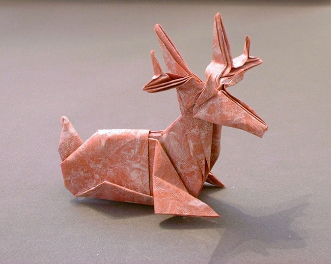 Origami Deer - sitting by Jun Maekawa folded by Gilad Aharoni