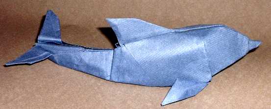 Origami Dolphin by Gabriel Alvarez Casanovas folded by Gilad Aharoni