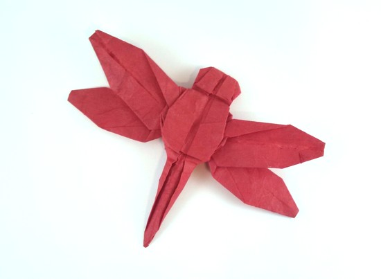 Origami Dragonfly by Robert J. Lang folded by Gilad Aharoni