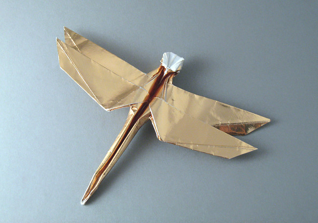 Origami Dragonfly by Jon Tucker folded by Gilad Aharoni