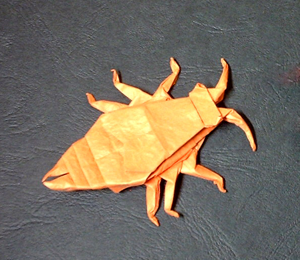 Origami Earwig by John Montroll folded by Gilad Aharoni