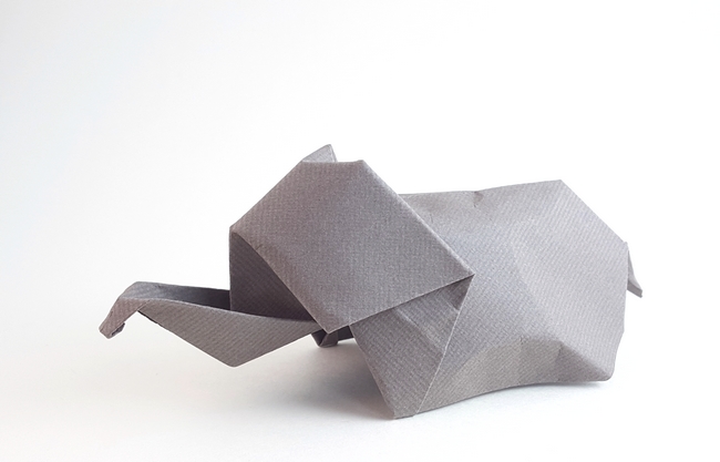 Origami Elephant baby by Akira Yoshizawa folded by Gilad Aharoni