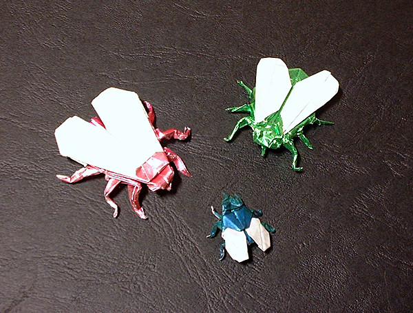 Origami Fly 3 by Alfredo Giunta folded by Gilad Aharoni