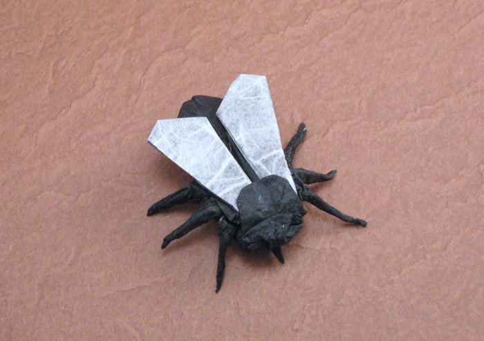 Origami Fly by Max Hulme folded by Gilad Aharoni