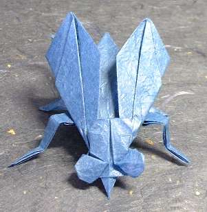 Origami Fly by Miyajima Noboru folded by Gilad Aharoni
