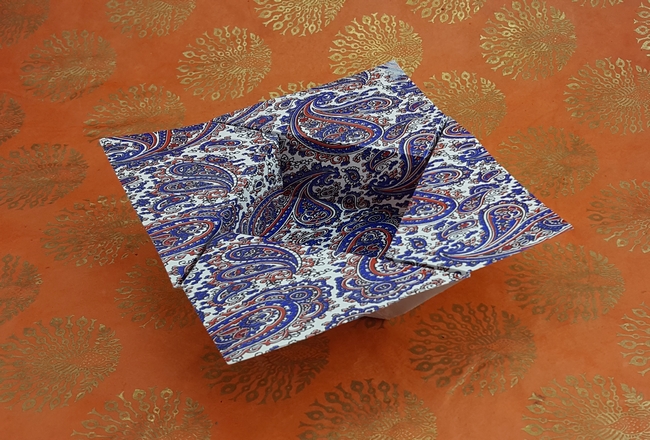 Origami Freiburg dish by Nick Robinson folded by Gilad Aharoni