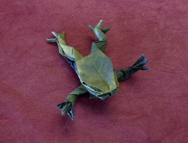 Origami Tree frog by Andrew Stoker folded by Gilad Aharoni