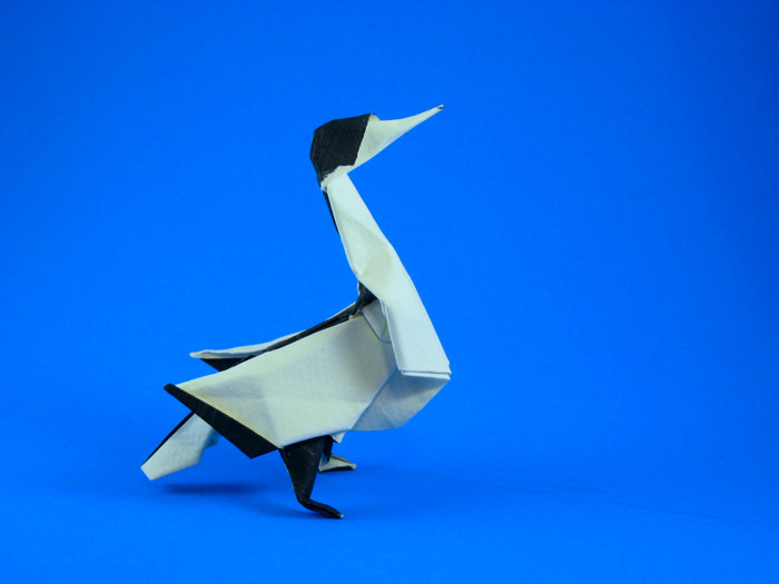Origami Gannet by Ryan Welsh folded by Gilad Aharoni