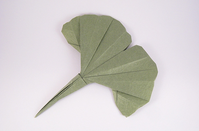 Origami Gingko leaf by Peter Engel folded by Gilad Aharoni