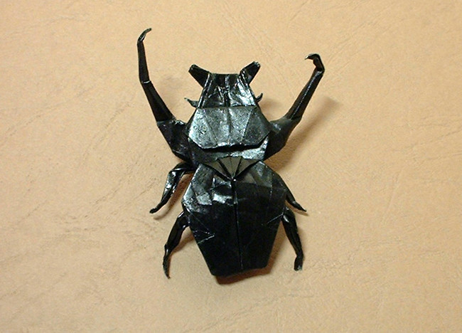 Origami Goliath horned flower beetle by Seiji Nishikawa folded by Gilad Aharoni