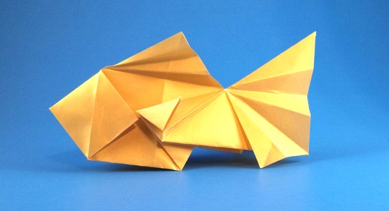 Origami Goldfish by Gen Hagiwara folded by Gilad Aharoni