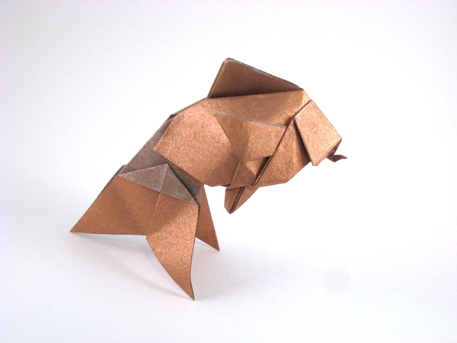Origami Hideko's goldfish by Robert J. Lang folded by Gilad Aharoni