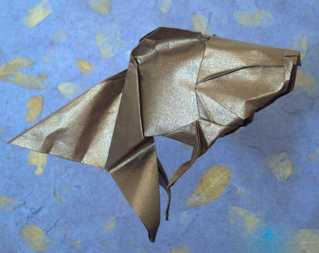 Origami Goldfish by Michael G. LaFosse folded by Gilad Aharoni