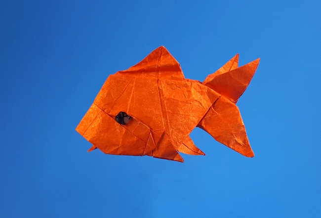 Origami Goldfish by Quentin Trollip folded by Gilad Aharoni