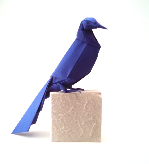 Origami Grackle by Michael G. LaFosse folded by Gilad Aharoni