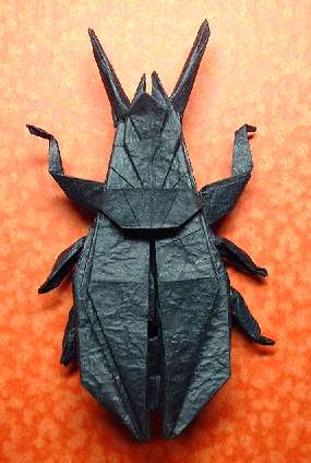 Origami Ground beetle by John Montroll folded by Gilad Aharoni