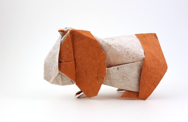 Origami Guinea pig by Nicolas Gajardo Henriquez folded by Gilad Aharoni