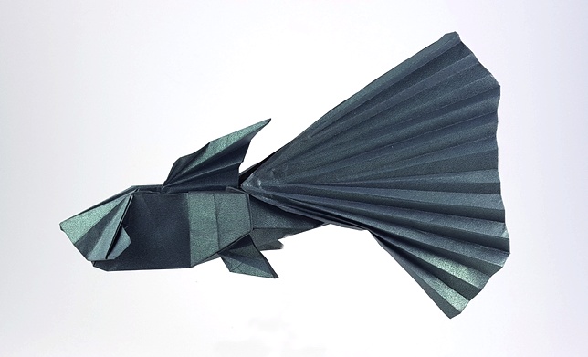 Origami Guppy by Meng Weining (212moving) folded by Gilad Aharoni