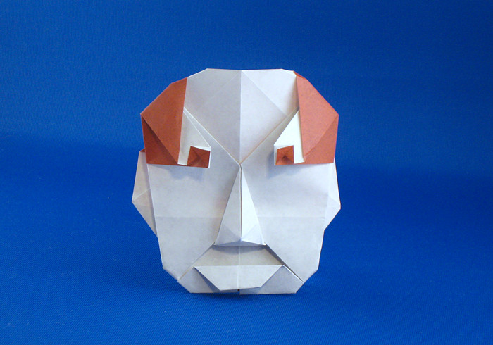 Origami Human face by Nick Robinson folded by Gilad Aharoni