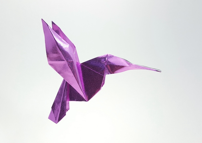 Origami Hummingbird by Michael G. LaFosse folded by Gilad Aharoni