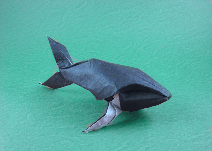 Origami Humpback whale by Michael G. LaFosse folded by Gilad Aharoni