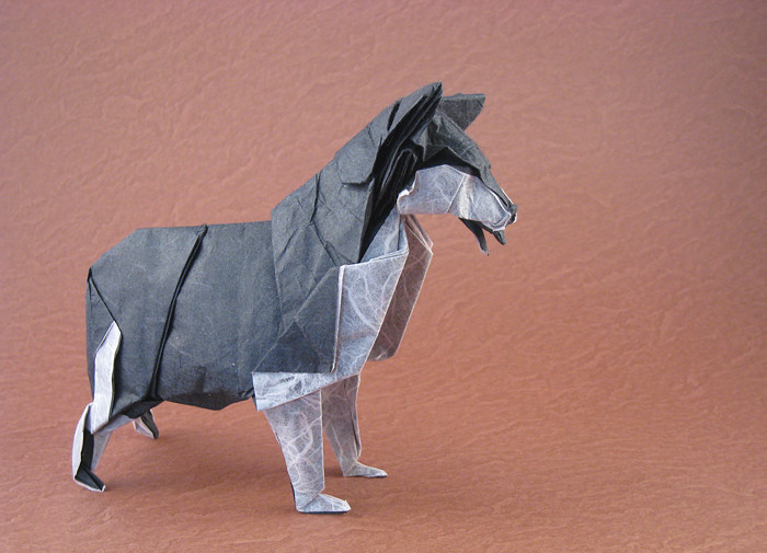 Origami Siberian husky by Fumiaki Kawahata folded by Gilad Aharoni
