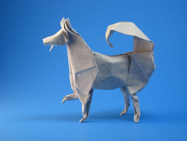 Origami Husky by John Montroll folded by Gilad Aharoni