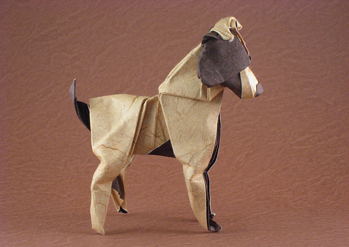 Origami Jack Russel Terrier by Nathan Geller folded by Gilad Aharoni