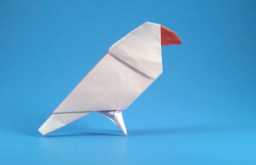 Origami Java sparrow by Makoto Yamaguchi folded by Gilad Aharoni