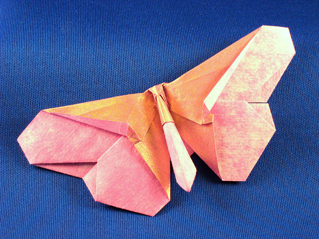 Origami Butterfly - Joyce Rockmore Butterfly by Michael G. LaFosse folded by Gilad Aharoni