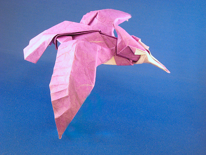Origami Kingfisher by Roman Diaz folded by Gilad Aharoni