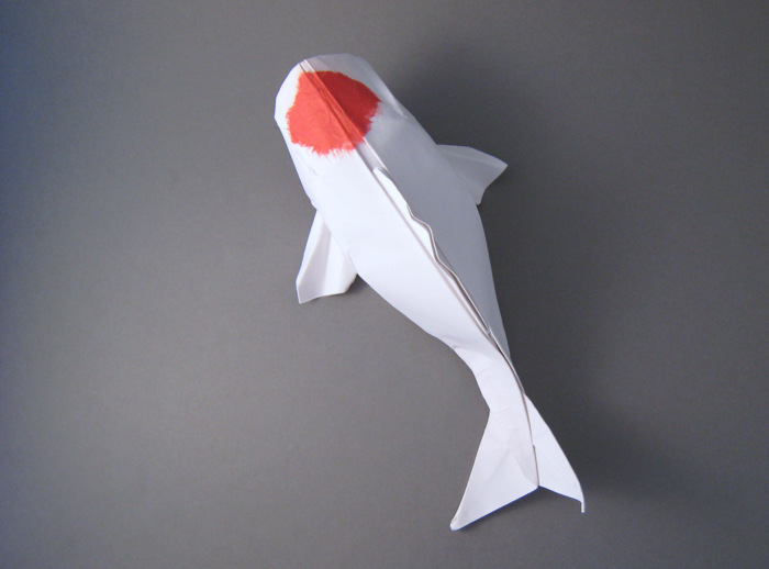 Origami Koi by Sipho Mabona folded by Gilad Aharoni