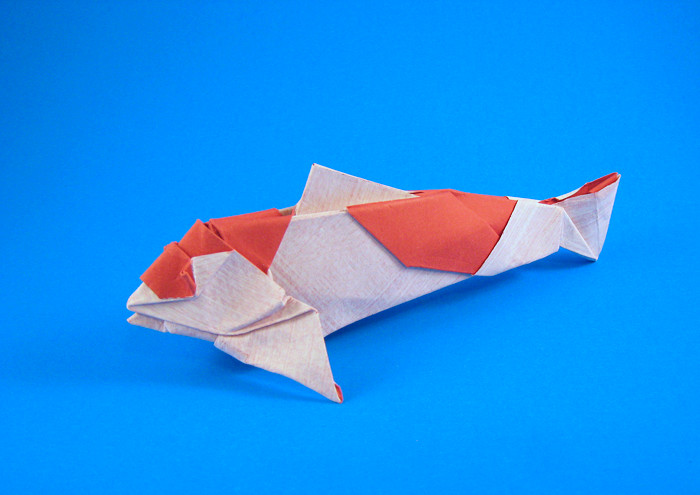 Origami Koi by Miyajima Noboru folded by Gilad Aharoni