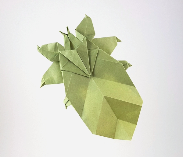 Origami Leaf insect by Fumiaki Kawahata folded by Gilad Aharoni