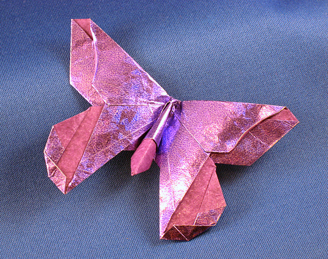 Origami Butterfly - Lillian Oppenheimer by Michael G. LaFosse folded by Gilad Aharoni