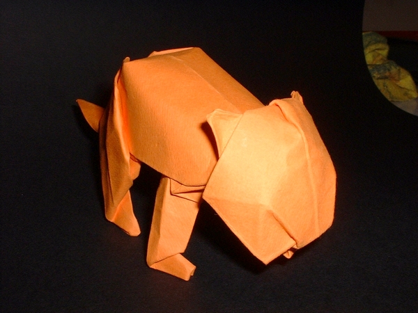 Origami Lion cub by David Brill folded by Gilad Aharoni