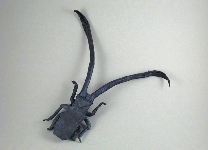 Origami Longhorn beetle by Robert J. Lang folded by Gilad Aharoni