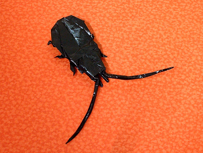 Origami Longhorn beetle by Mark Bolitho folded by Gilad Aharoni