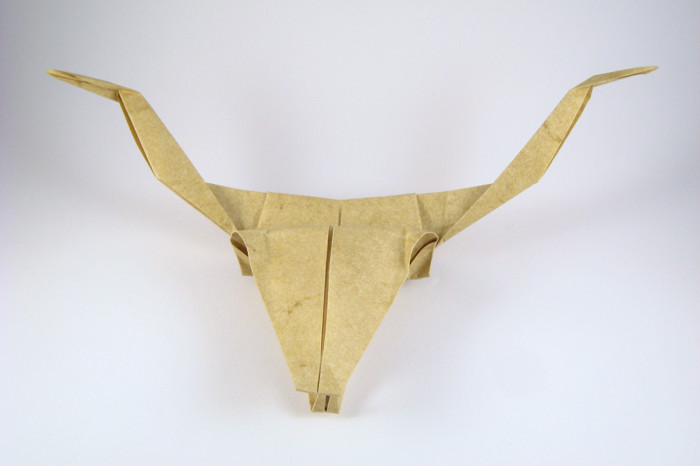 Origami Longhorn cow skull by Talo Kawasaki folded by Gilad Aharoni