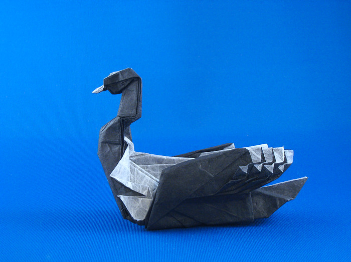 Origami Common loon by Artur Biernacki folded by Gilad Aharoni