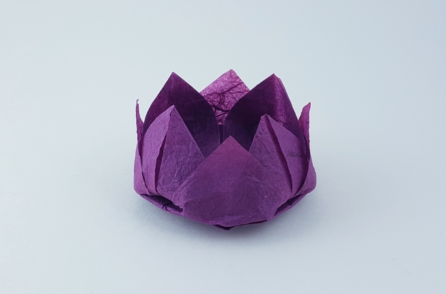 Origami Water lily by Traditional folded by Gilad Aharoni